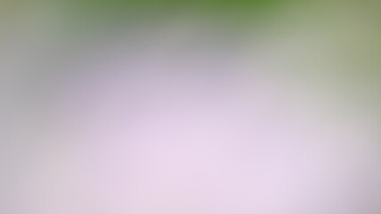 Subtle Gradient Blend Background Design