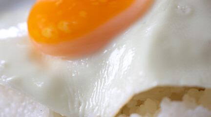 close up of egg. fried egg details. egg background. fried egg with rice.