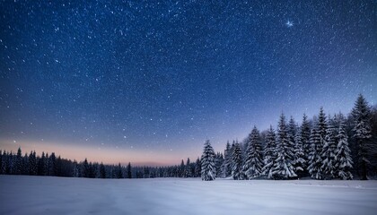 Fototapeta premium 雪に覆われた森と星瞬く冬の夜—神秘的な星明かりの風景