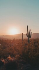 Saguaro cactus standing tall in arizona desert at sunrise