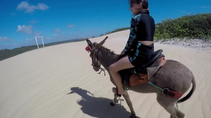 Menina anda de burro em passeio no sertão do nordeste 