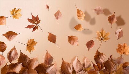 Obraz premium Autumn leaves falling on solid background. Freeze frame. Beige and brown colors. Minimalism