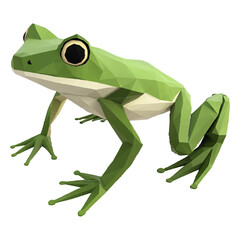 Fototapeta premium Green frog, low-poly design, white background