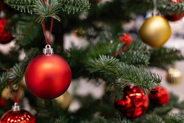 Christmas red ball on fir tree. Christmas and New year eve Background. Close up of balls on Christmas tree. New Year concept.