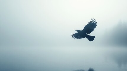 Fototapeta premium Raven in Mist
