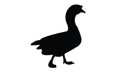 Swan Silhouette And Vector Illustration. 