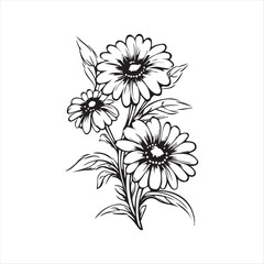 Easy lily flower drawing pencil art vector 