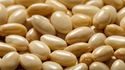 close up of a pile of beans