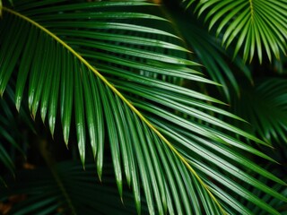 Close up of a vibrant green palm leaf showing intricate textures and details, macro, pattern