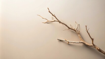 Minimalist dry branch against a neutral background, embodying simplicity and elegance, minimalist, dry, branch, neutral