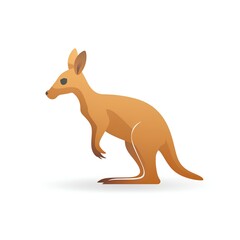 kangaroo illustration