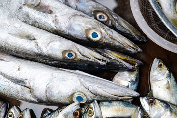 Obraz premium Sea food variety of fresh fish sell in fishery market