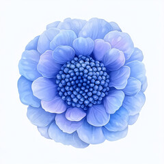 A delicate, blue flower with layered petals and a textured center, showcasing soft hues and an intricate design.