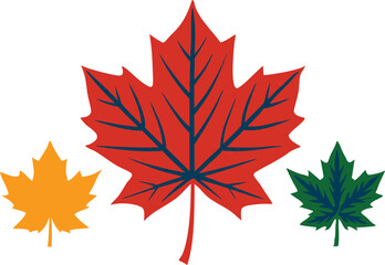 Set of maple leaves icons isolated on white background. Bright autumn red maple leaf, black silhouette and outline. Vector illustration.