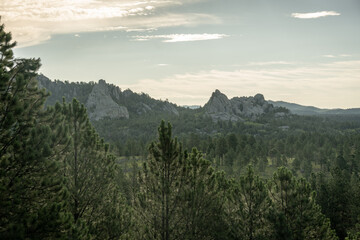 Exposed Rocks Rise Over The Pine Forest In The Black Hills