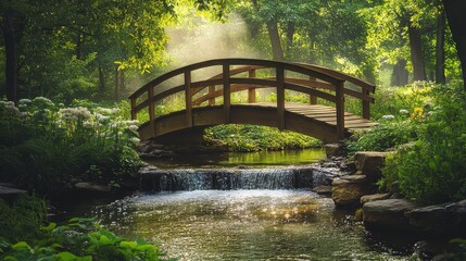 Fototapeta premium Wooden Bridge Over a Creek in a Lush Green Forest