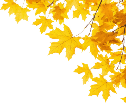 Golden autumn leaves - Powered by Adobe