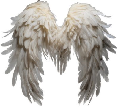 White angel wings