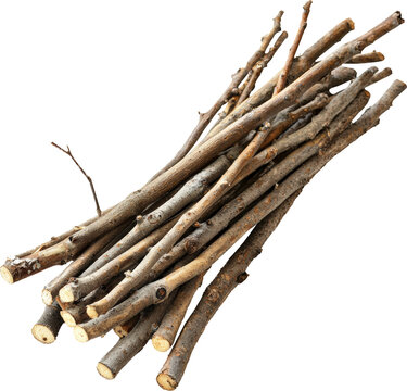 Bundle of twigs