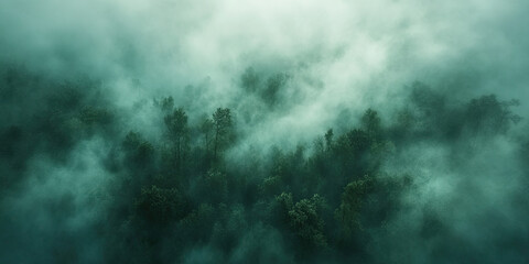 Fototapeta premium Aerial drone forest survey photograph, top down bird's eye view, woodland trees background, surveying landscape trees