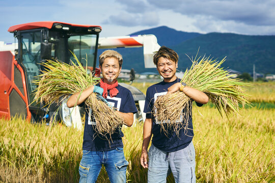 収穫した稲穂をかかえる日本人兄弟