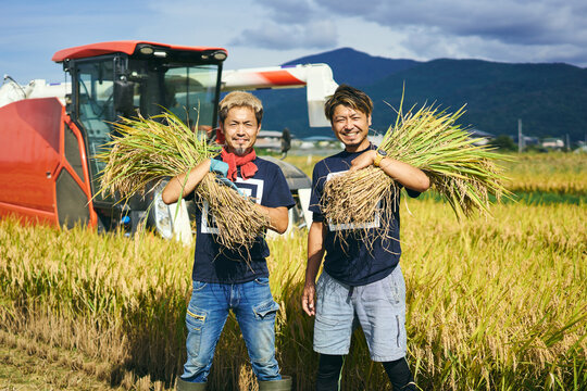収穫した稲穂をかかえる日本人兄弟