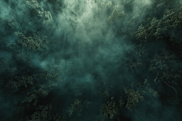 Aerial drone forest survey photograph, top down bird's eye view, woodland trees background, surveying landscape trees