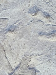 A grey and white wall with a few spots of color