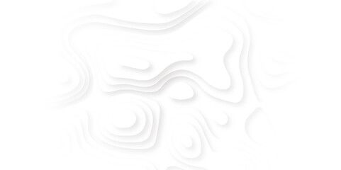 Fototapeta premium Abstract paper cut white background. Topographic canyon map light relief texture, Abstract wavy line 3d paper cut white background.