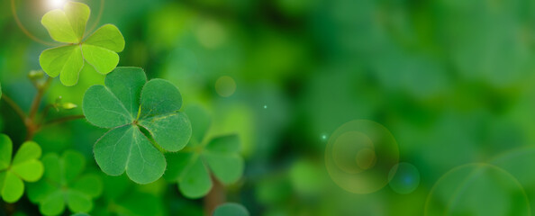 St Patrick's Day Lucky Charm Shamrock Irish abstract green bokeh background for happy st patrick's...