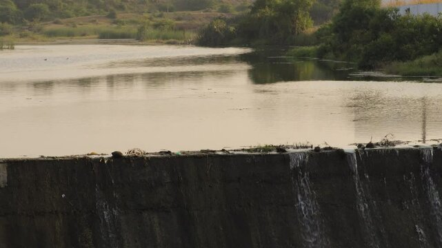 the river in the gir forest. waterfall mountain river in the zinzuda saurashtra in gujarat, with lush green tropical rainforest jungle. Wonderful freshwater rapids waterfalls river flowing.