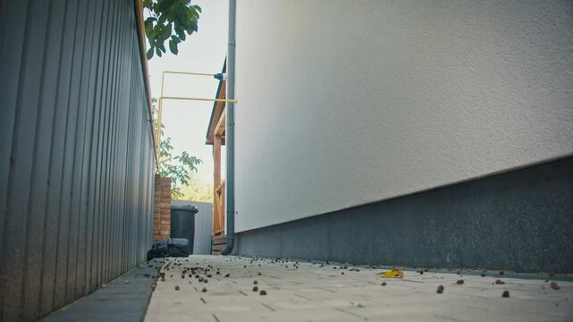 A Guard Dog Pursues Two Masked Burglars Between Houses. Concept of Combining Security Systems with Guard Dogs, First Line of Defense in Protecting Property and Preventing Crime.