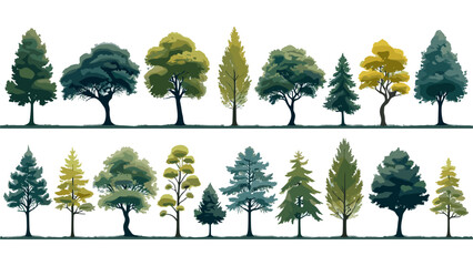 Fototapeta premium Minimal style cad tree line drawing, Side view, set of graphics trees elements outline symbol for architecture and landscape design drawing. Vector illustration in stroke fill in white. Tropical