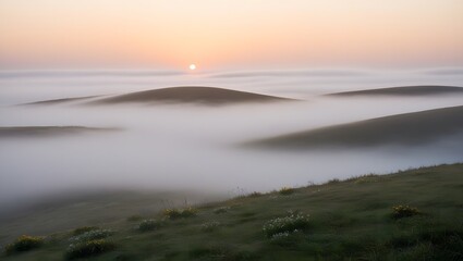 Obraz premium Beautiful aerial shot of a foggy forest