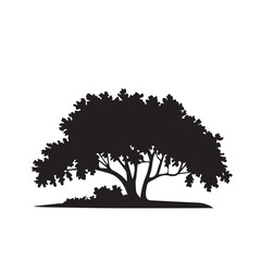 silhouette tree line drawing set, graphics trees elements outline symbol for architecture and landscape design drawing Vector illustration in stroke fill in white.