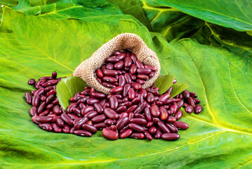 Red kidnRed Kidney Beans in a Brown Paper Bagey beans with ear of wheat