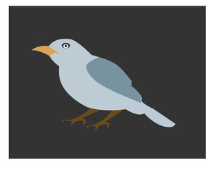 Bird Vector Art, Icons, and Graphics for Free Download