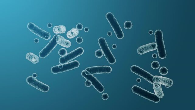 Enterobacteriaceae, gram-negative rod-shaped bacteria, part of intestinal microbiome and causative agents of different infections, 3D rendering. Escherichia coli, Klebsiella, Enterobacter and other