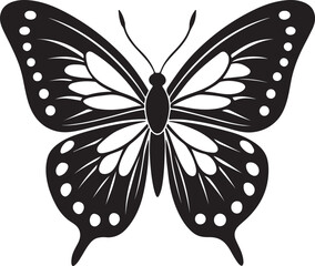 black and white butterfly