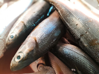 Raw milkfish sold in the market. Traditional markets, modern markets