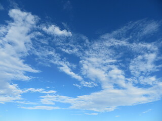 Fototapeta premium 清々しい夏の空