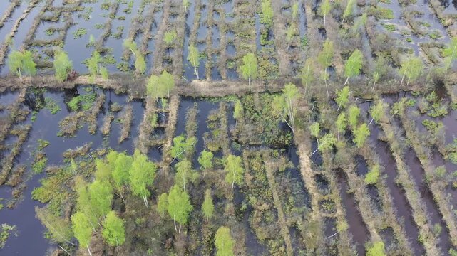  exploited peat bog flooded in spring, aerial view