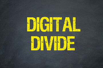 Digital Divide	