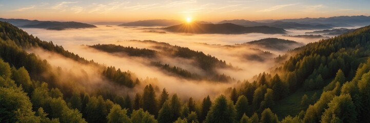 Obraz premium Aerial view of sunrise in the misty forest. Foggy golden sunset in mountains