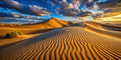 Naklejka premium Low-Angle View of Wind-Sculpted Dunes with Dynamic Shadows in Urban Exploration Photography