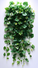Bright, beautiful vines with lush green leaves, curling gracefully as they climb and cascade. The vibrant foliage is accented with small blossoms or tendrils, adding touches of color and texture.