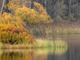 Lake in fall colors