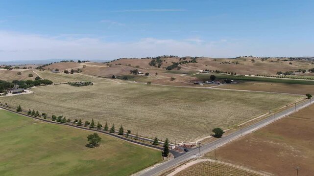 California Wine Country Paso Robles Vineyard Aerial Shot Forward Slow