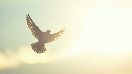 Fototapeta premium A silhouette of a bird soaring against a bright sky, symbolizing freedom and tranquility.