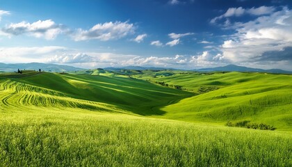Fototapeta premium view of rolling green hills and lush meadows in Tuscany, Italy